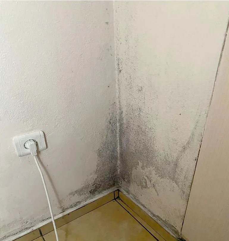 Schimmelbefall in einer kalten Zimmerecke vor der Behandlung.