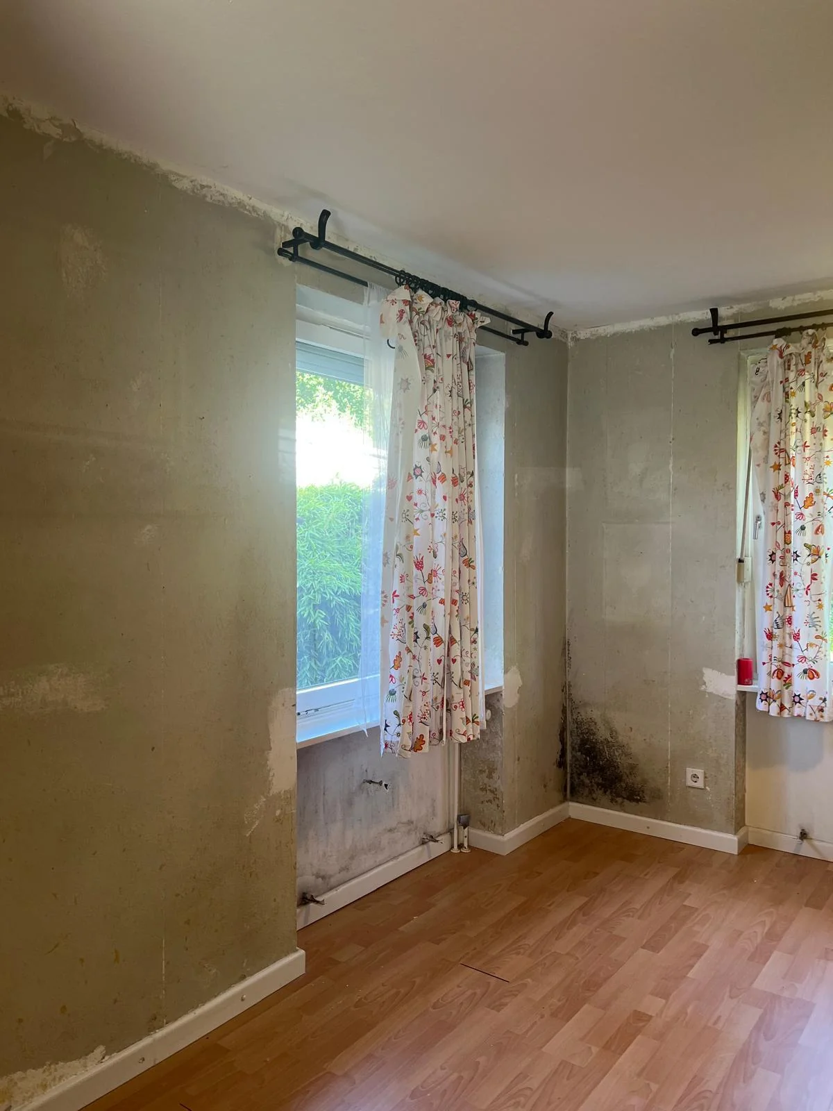 Sichtbarer Wandbefall im Wohnraum vor der Behandlung.